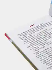 Книга для детей. Внеклассное чтение В. Осеева "Волшебное слово" 64 стр. Проф-Пресс