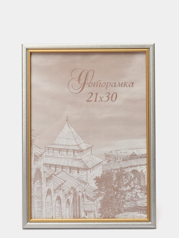 Фоторамка А4 (21х30), С15, серебряная с золотой полосой, дерево сосна