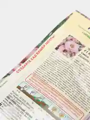 Эустома Шелковая роза (семена, цветы)