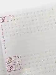 Зеленый прописи первоклассника, А4