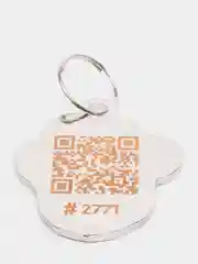 Зеленый адресник с QR кодом для домашних питомцев "Лапка", не требующий гравировки