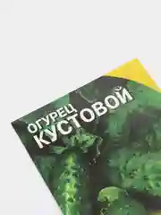 Семена Огурец ранний с женским типом цветения "Кустовой", 0,5 г