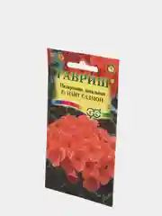 Пеларгония Найт салмон (семена,цветы)