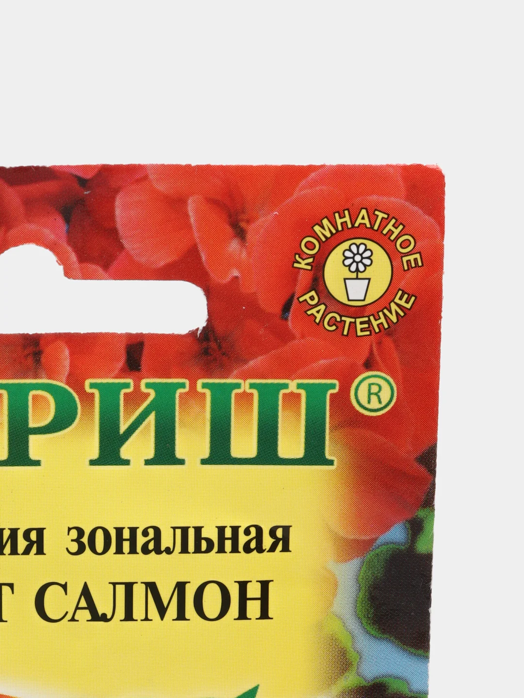 Пеларгония Найт салмон (семена,цветы)