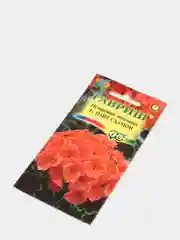 Пеларгония Найт салмон (семена,цветы)