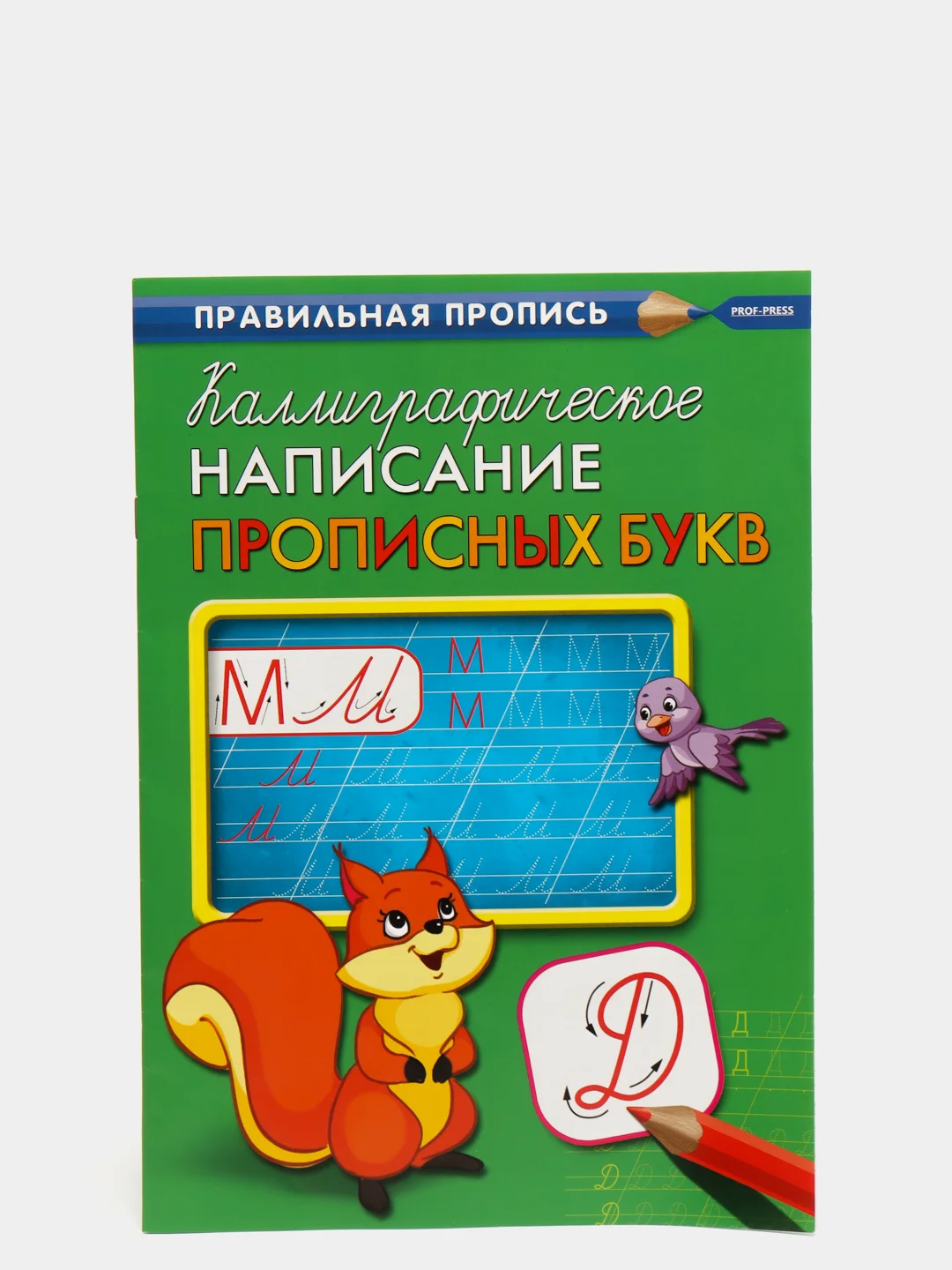 Золотистый хаки прописи первоклассника, А4