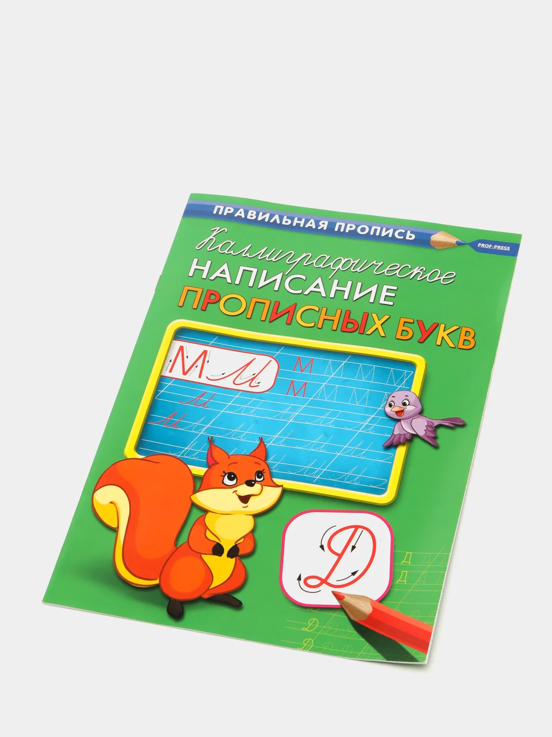 Золотистый хаки прописи первоклассника, А4