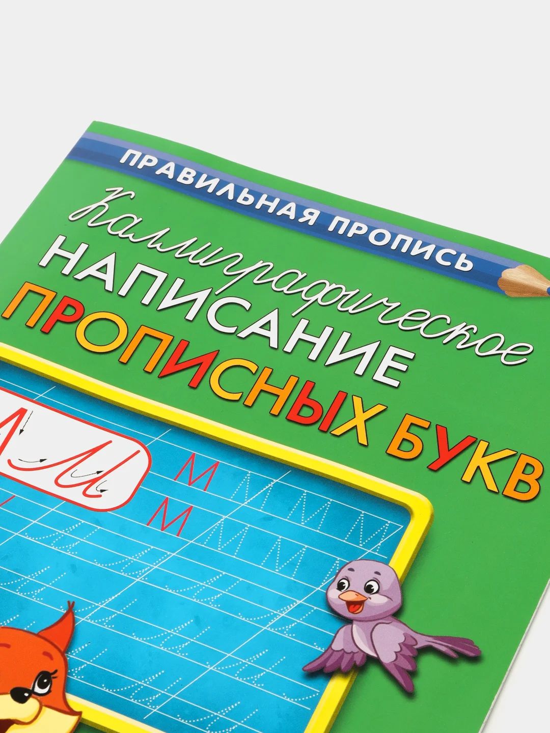 Золотистый хаки прописи первоклассника, А4