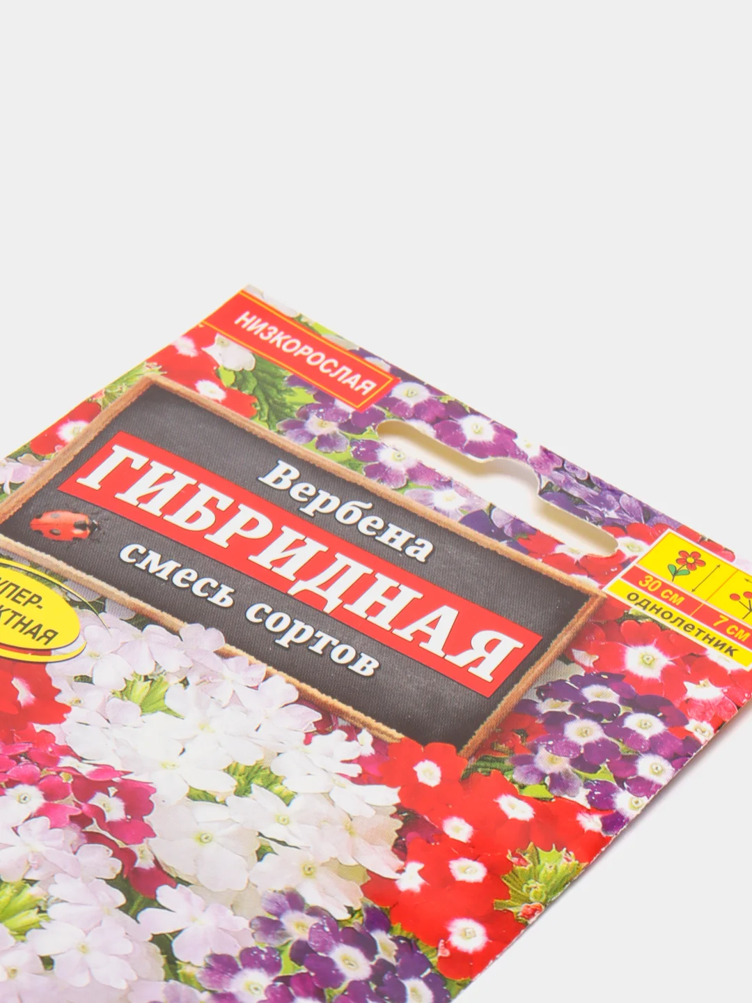 Вербена, цветы, семена
