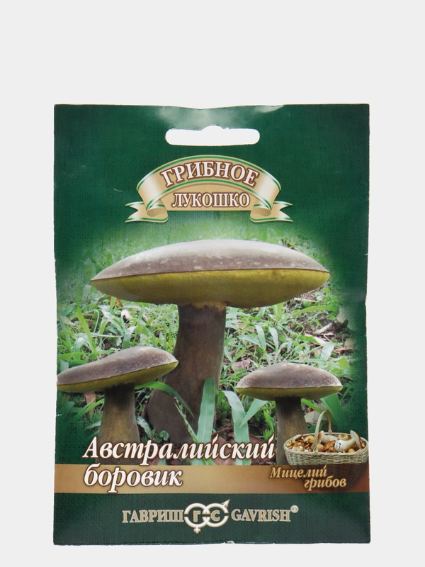 Грибы Австралийский боровик (семена)