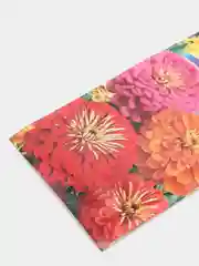Цинния Исполин (семена, цветы)