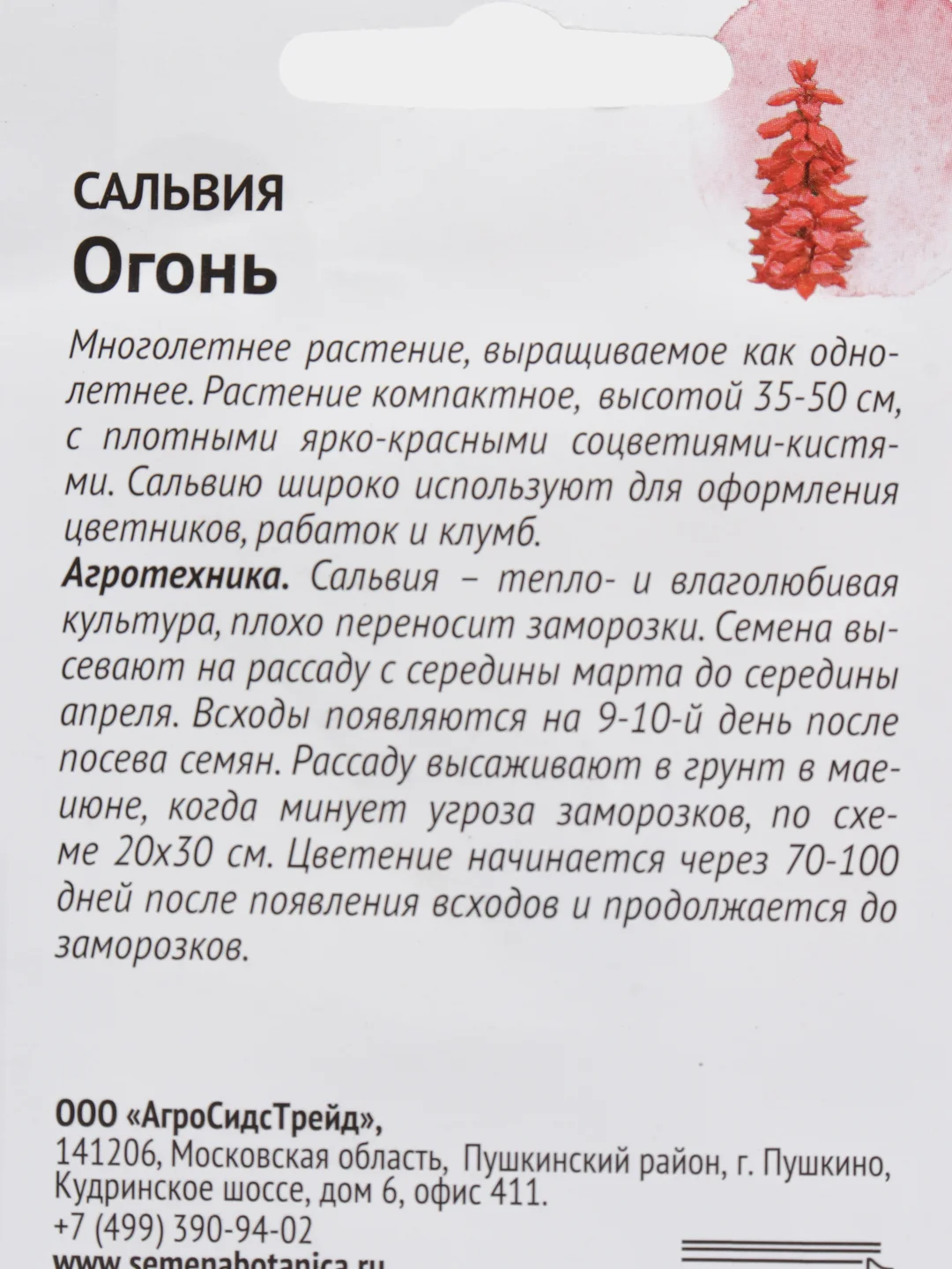 Сальвия Огонь, семена
