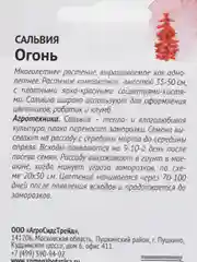 Сальвия Огонь, семена