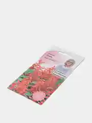 Сальвия Огонь, семена