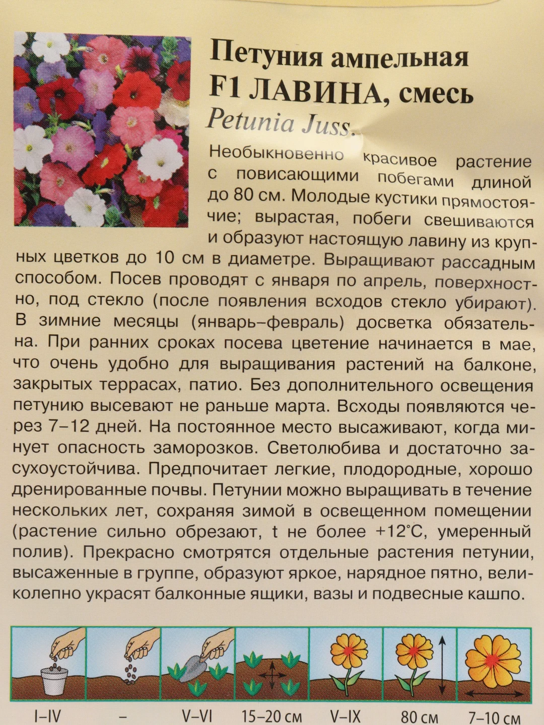 Петуния "Лавина смесь" семена, цветы