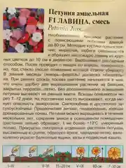 Петуния "Лавина смесь" семена, цветы
