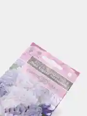 Семена Астра "Леди Коралл лавандовая"