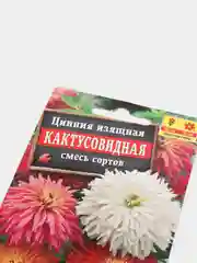 Цинния Кактусовидная (семена,цветы)