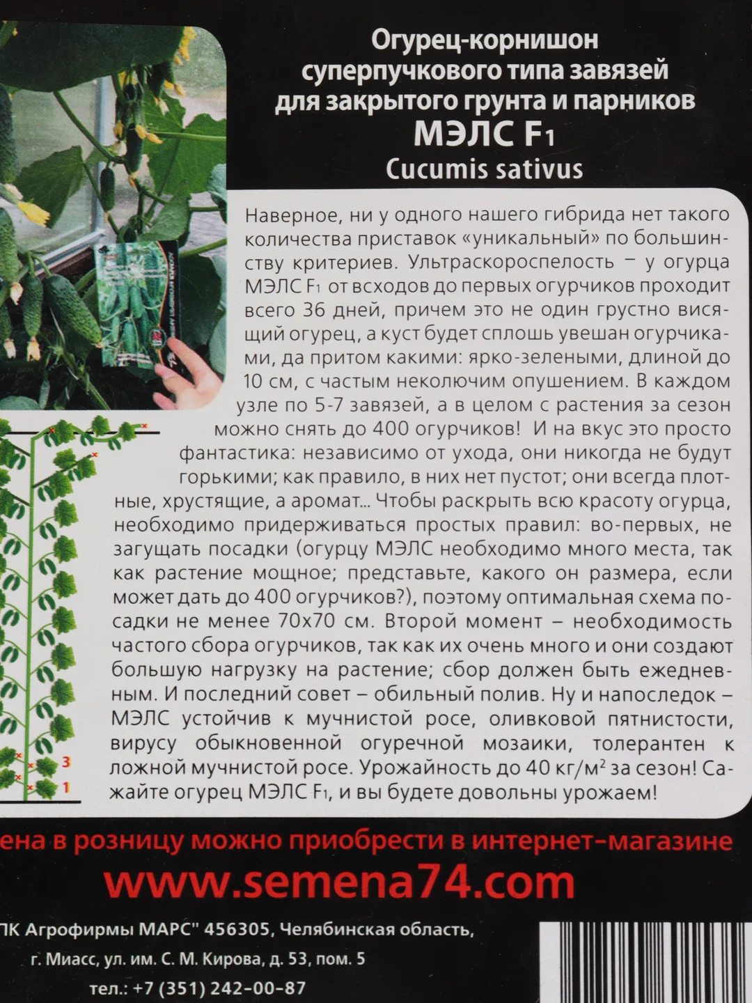 Семена Огурец "Мэлс"