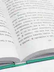 Секрет еловых писем (#2), Фрауке Шойнеманн