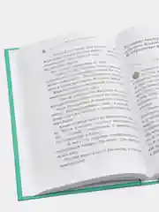 Секрет еловых писем (#2), Фрауке Шойнеманн