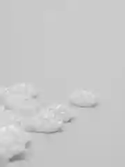 Белый полубусины фигурные Лотос