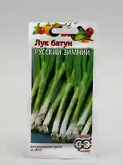 Лук батун "Русский зимний", семена
