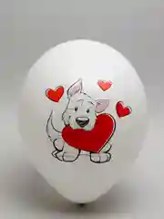 Голубой воздушные шары для любимых