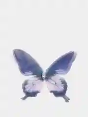 Индиго бабочки шифоновые средние