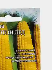 Семена Кукуруза "Золотой лед F1"