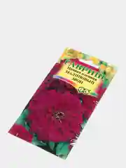 Семена Цинния изящная "Малиновый звон"