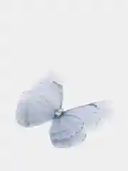 Медный бабочки шифоновые средние