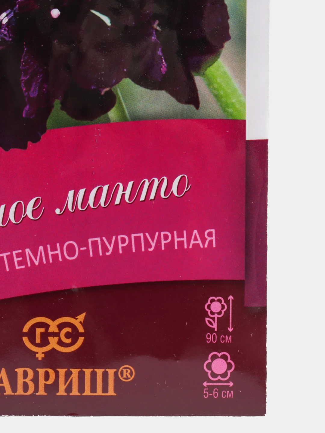 Скабиоза Черное манто (семена,цветы)