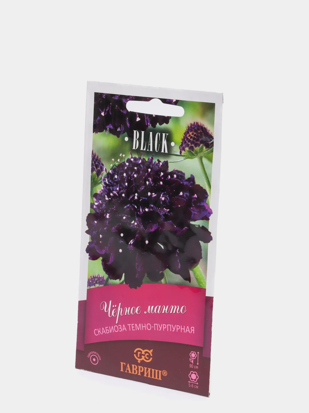 Скабиоза Черное манто (семена,цветы)