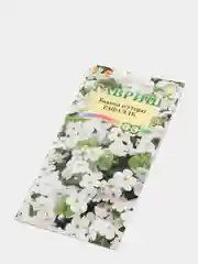 Бакопа Монье "Рафаэль", семена, цветы