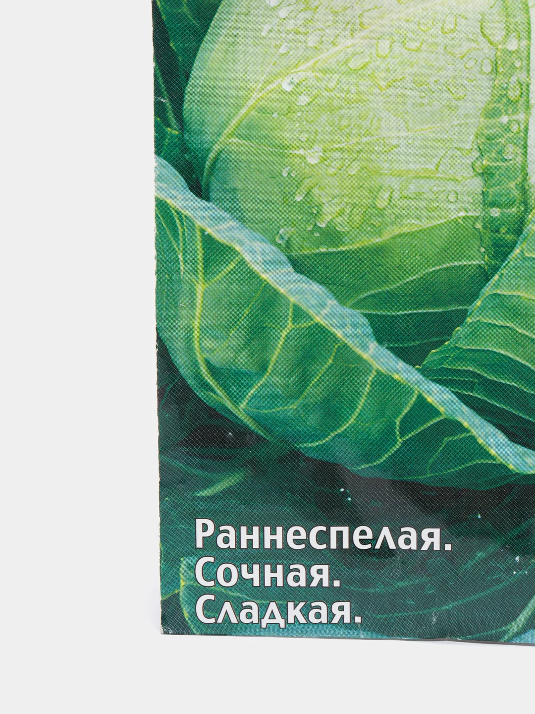 Семена Седек,Капуста Скороспелая