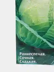 Семена Седек,Капуста Скороспелая