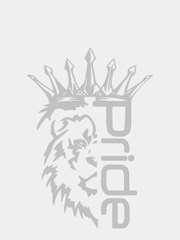Наклейка на авто на капот на стекло автомобиля Лев Прайд Pride, 15* 21 см, белая