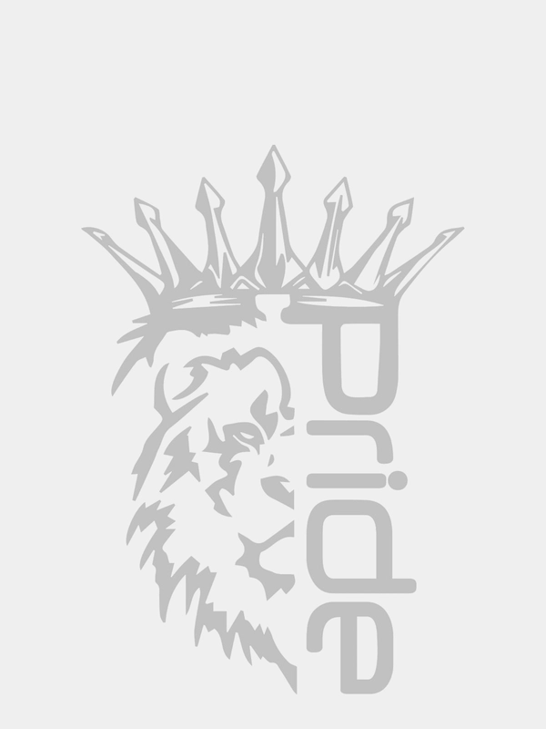 Наклейка на авто на капот на стекло автомобиля Лев Прайд Pride, 15* 21 см, белая
