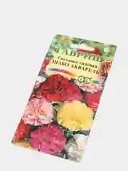 Семена цветов гвоздика "Шабо Акварель"