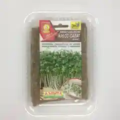 Набор для выращивания микрозелени