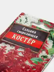 Сальвия "Костер", семена, цветы