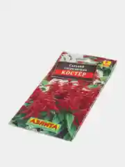 Сальвия "Костер", семена, цветы