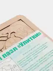 Пазлы-вкладыши деревянные / Рамка вкладыш для малышей "Улитки" 290 х 210 х 6 мм