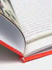 Артиллерия. История оружия. Детская энциклопедия