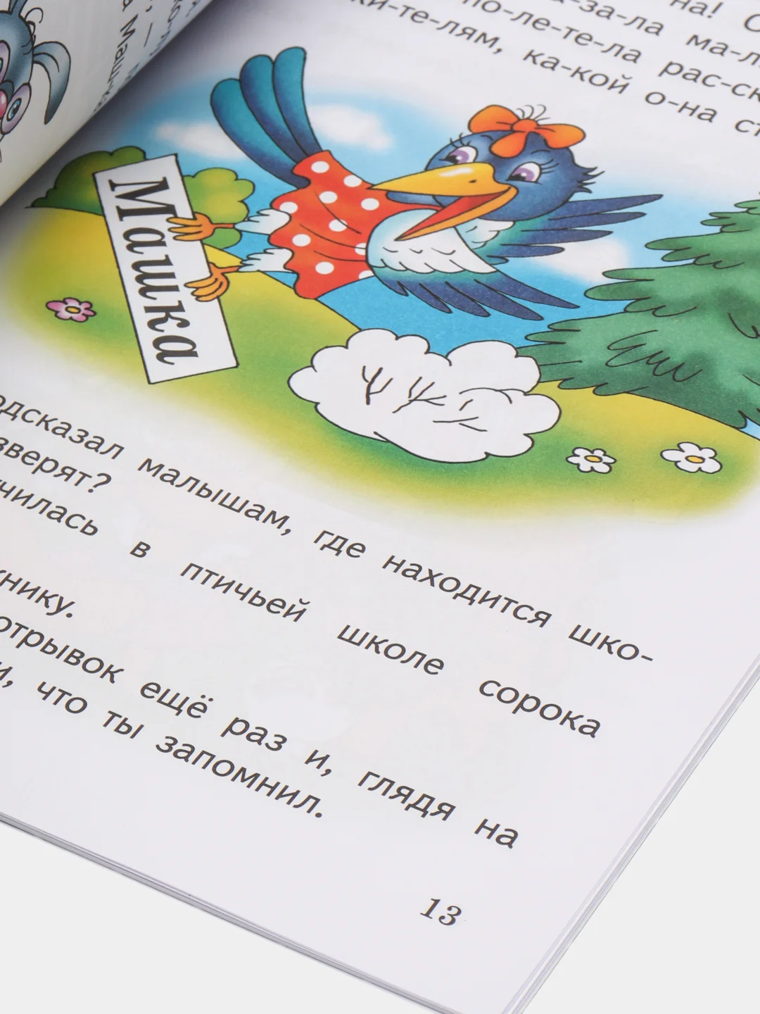 Развиваем навыки чтения и связной речи 4-6 лет. Елена Бортникова. Тетрадь цветная