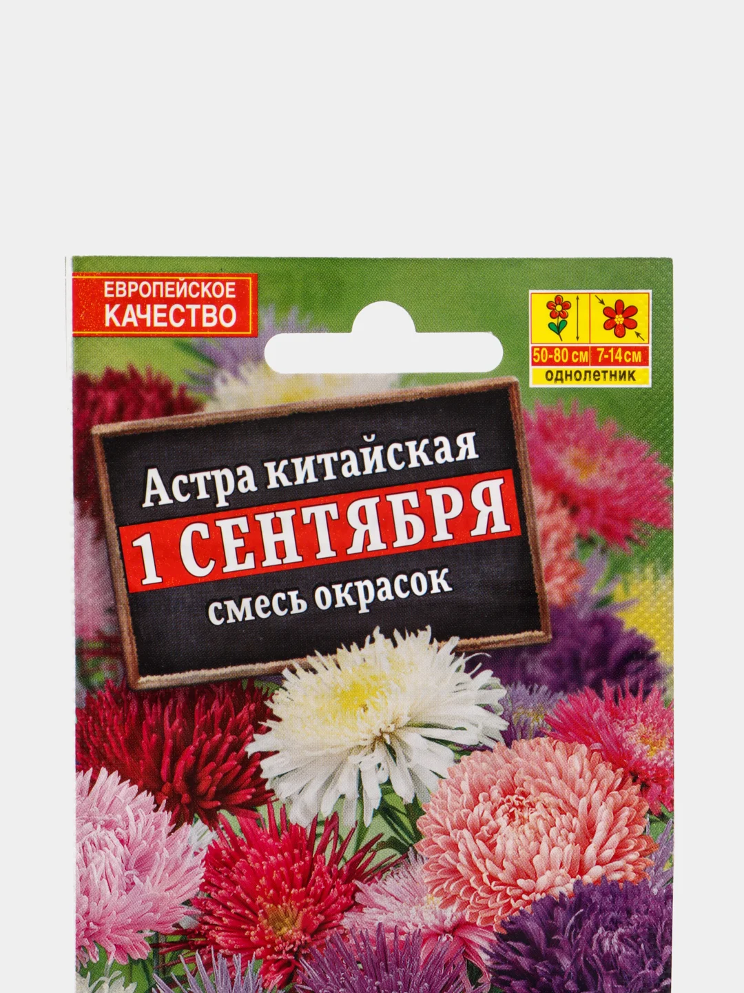 Семена Астра "1 сентября" смесь окрасок