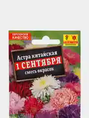 Семена Астра "1 сентября" смесь окрасок
