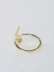 Золотой кольцо
