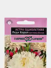 Семена Астра "Леди Корал Кремово-белая"